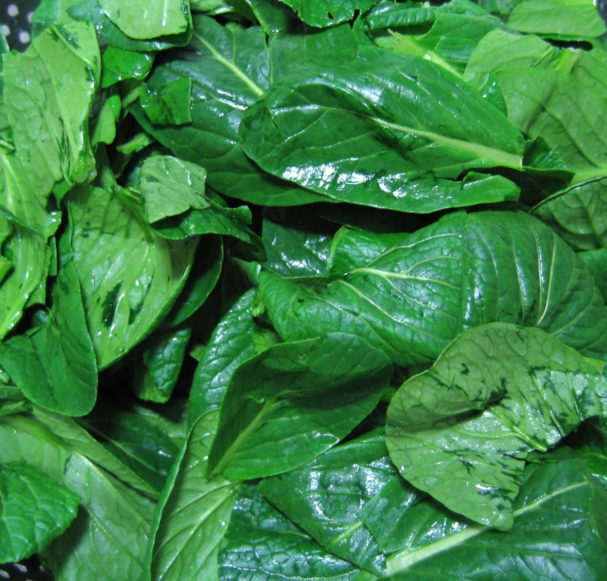Spinach-Leafy-Greens-Vegetable-Close-up