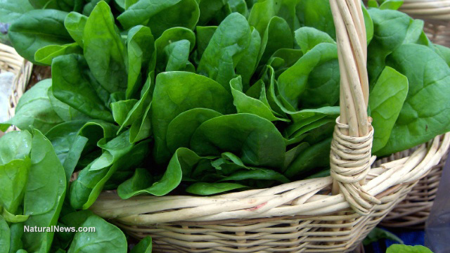 Fresh-Spinach-Basket