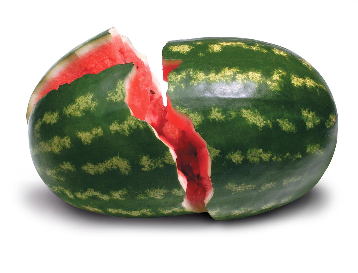 Watermelon-Fruit-Smashed-Melon